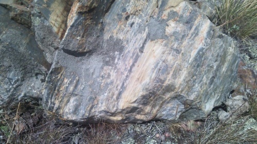 Гигантские зелёные валуны для ландшафтного дизайна весом более 5 тонн купить в Кашире