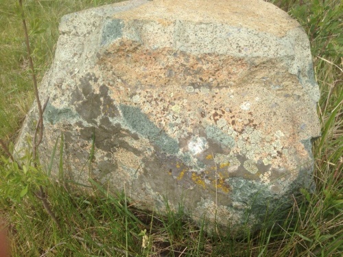 Гигантские зелёные валуны для ландшафтного дизайна весом более 5 тонн купить в Кашире